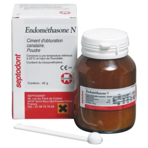 Endomethasone 42 grammi Septodont